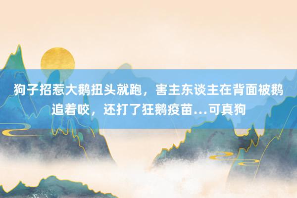 狗子招惹大鹅扭头就跑，害主东谈主在背面被鹅追着咬，还打了狂鹅疫苗…可真狗
