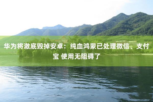 华为将澈底毁掉安卓：纯血鸿蒙已处理微信、支付宝 使用无阻碍了