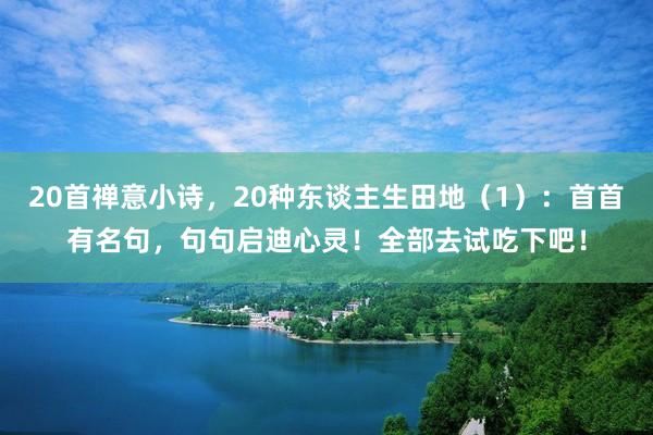 20首禅意小诗，20种东谈主生田地（1）：首首有名句，句句启迪心灵！全部去试吃下吧！