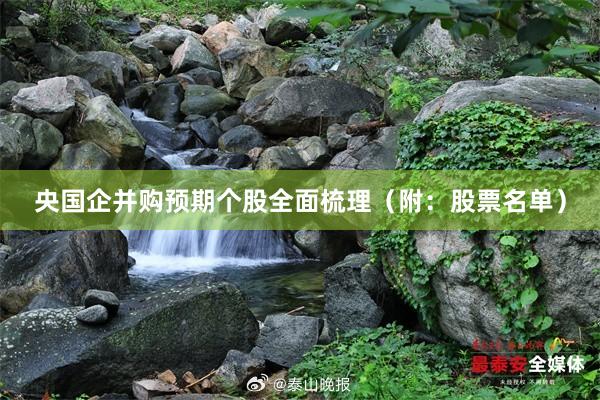 央国企并购预期个股全面梳理（附：股票名单）