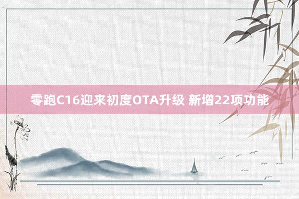 零跑C16迎来初度OTA升级 新增22项功能