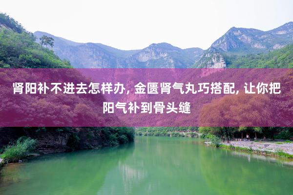 肾阳补不进去怎样办, 金匮肾气丸巧搭配, 让你把阳气补到骨头缝