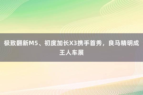 极致翻新M5、初度加长X3携手首秀，良马精明成王人车展